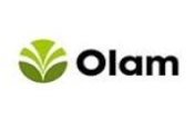 Olam